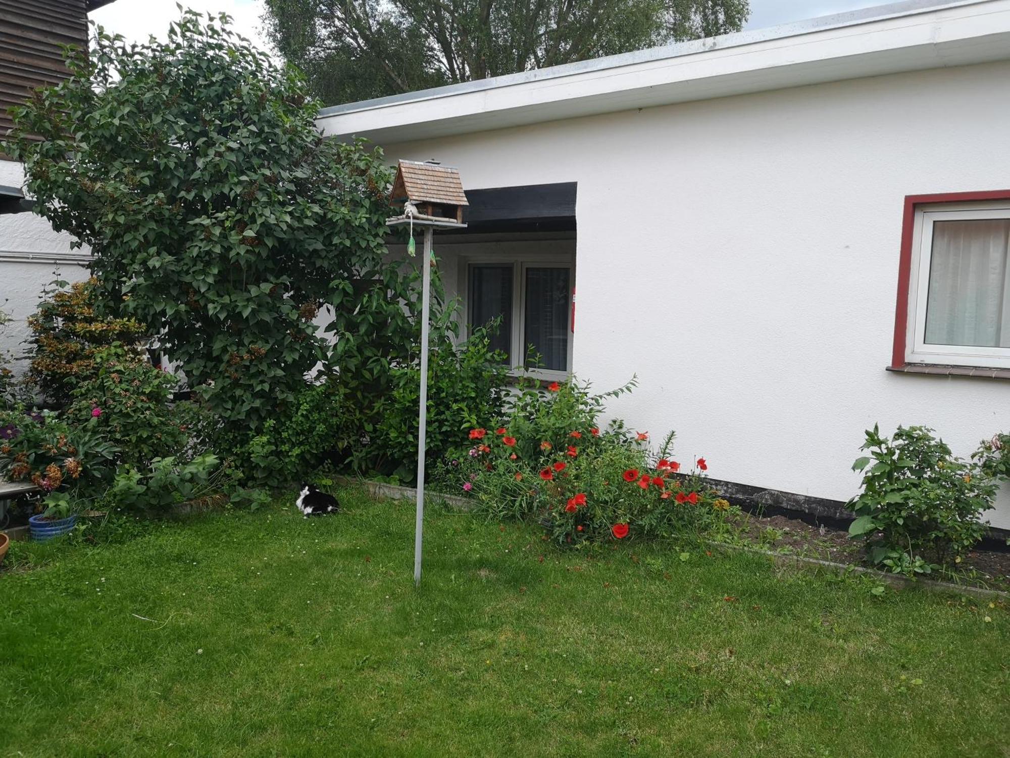 Uschi'S Gasthof Neuendorf  Exterior foto